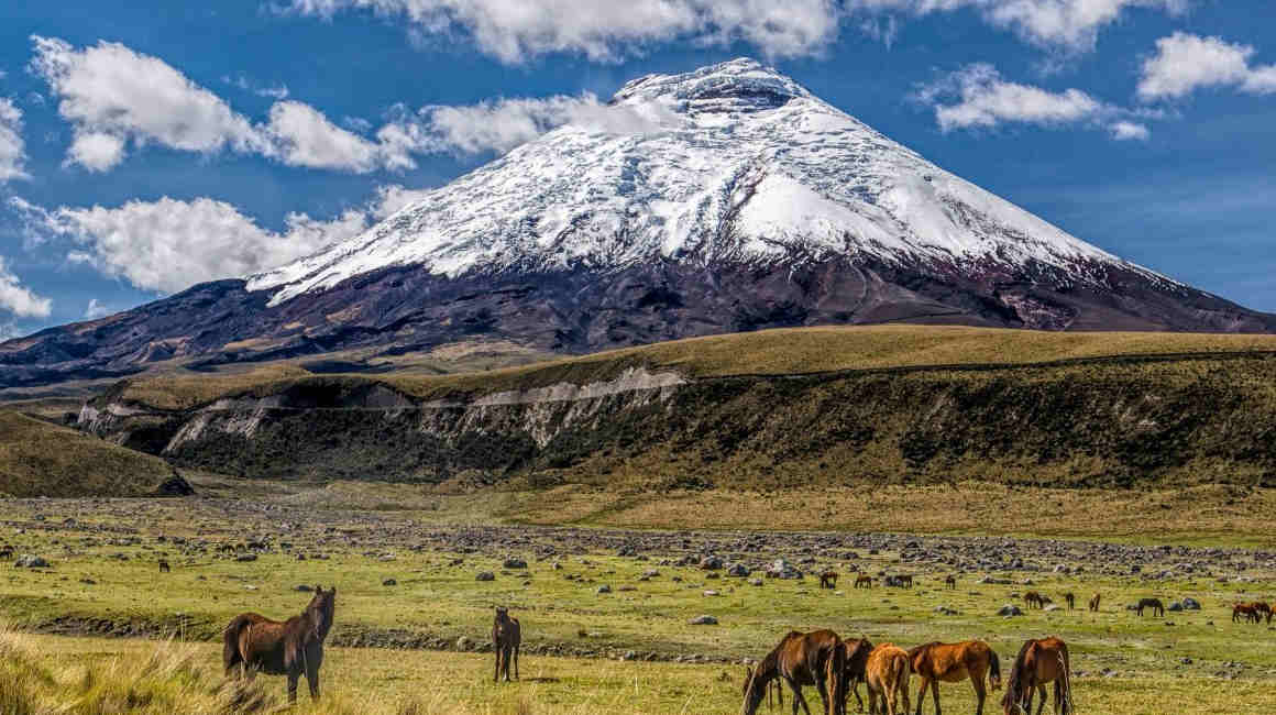 Paisaje del ecuador